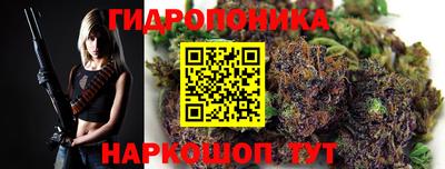 дурь Гагарин